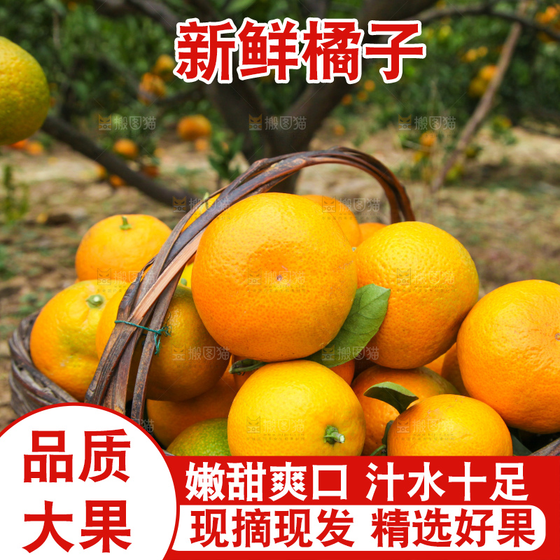 篮子里的蜜橘