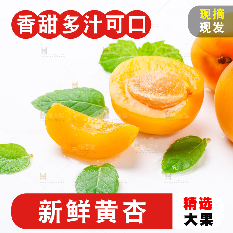 白底上放着大黄杏