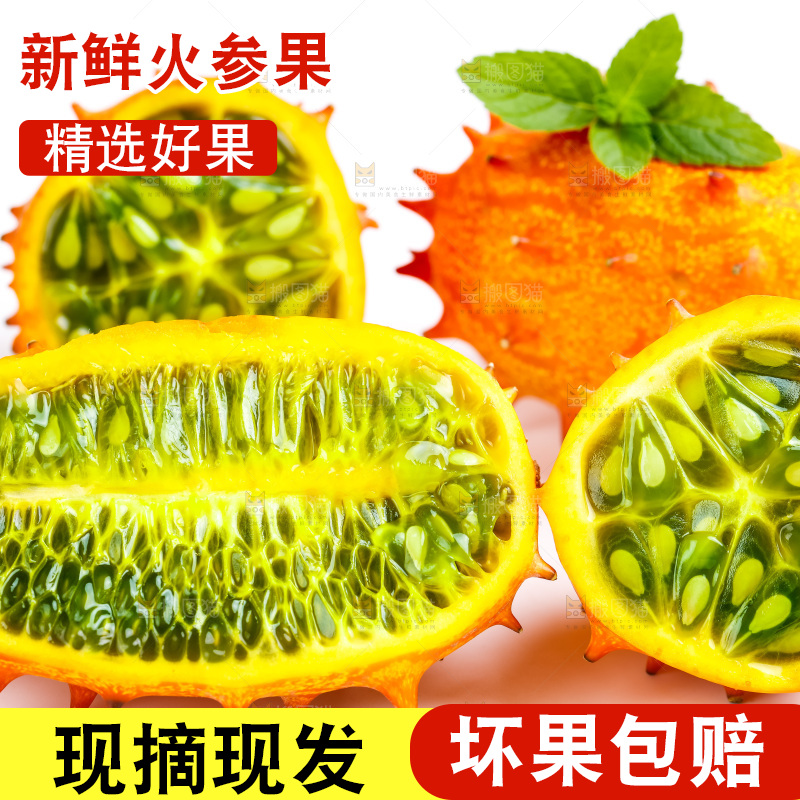 白底上摆放着刺角瓜