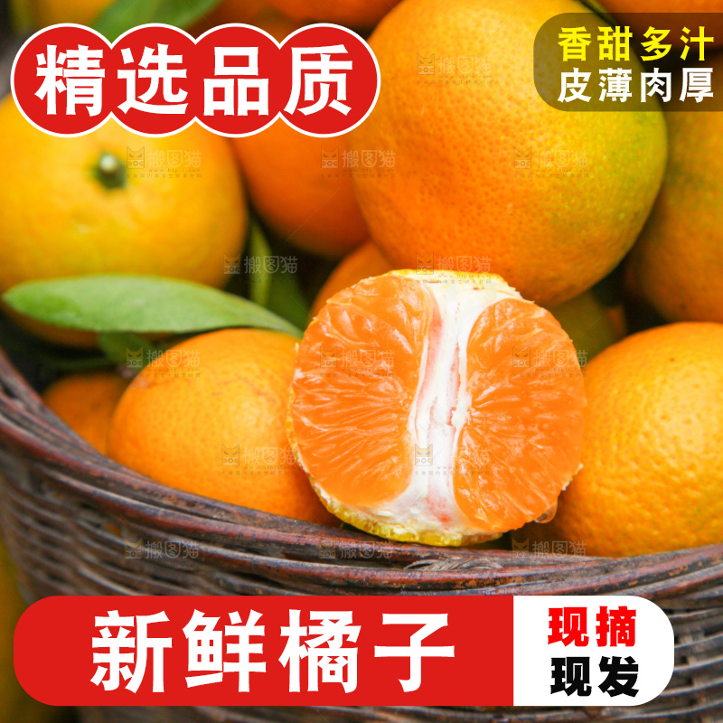 篮子里装着橘子
