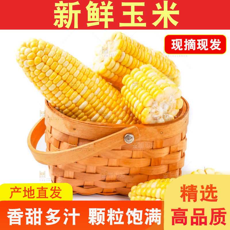 篮子里装着黄玉米