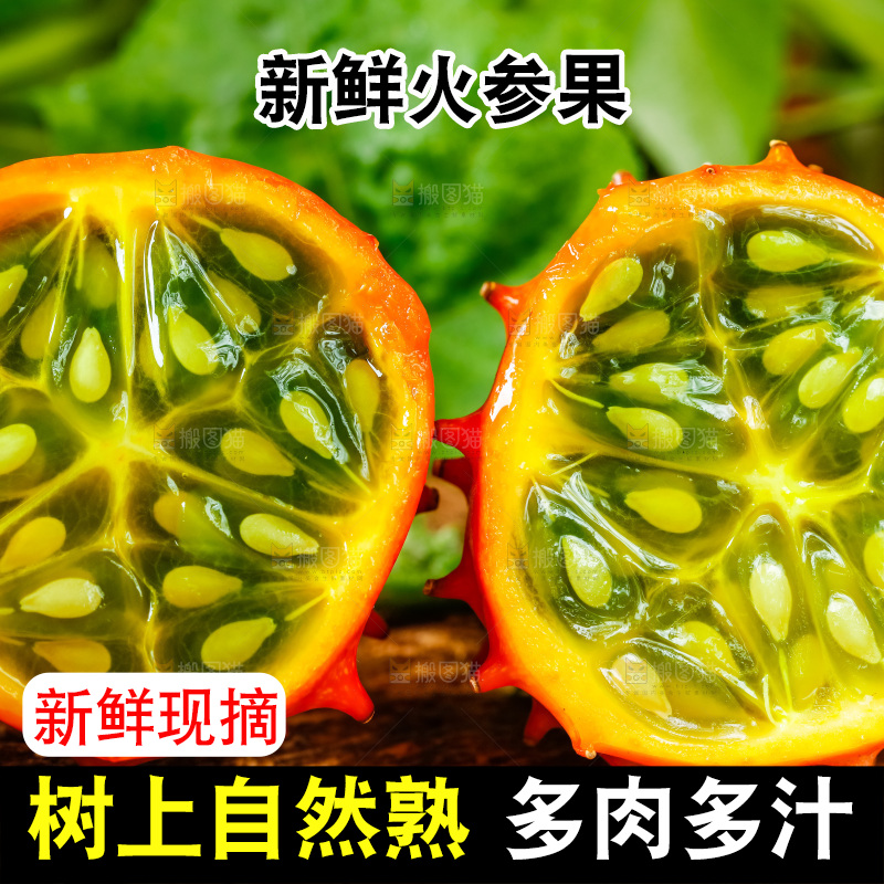 深底上摆放着海参果