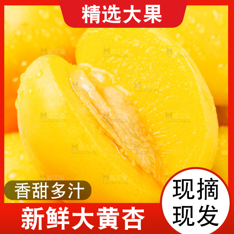 白底上放着大黄杏