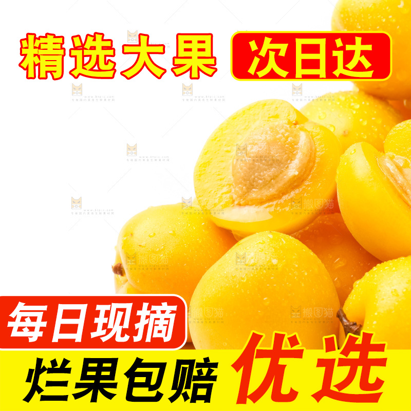 白底上放着大黄杏