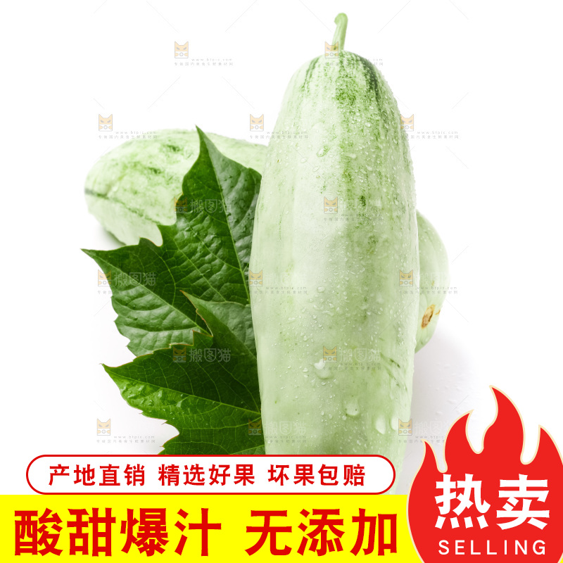 白底上放着青木瓜