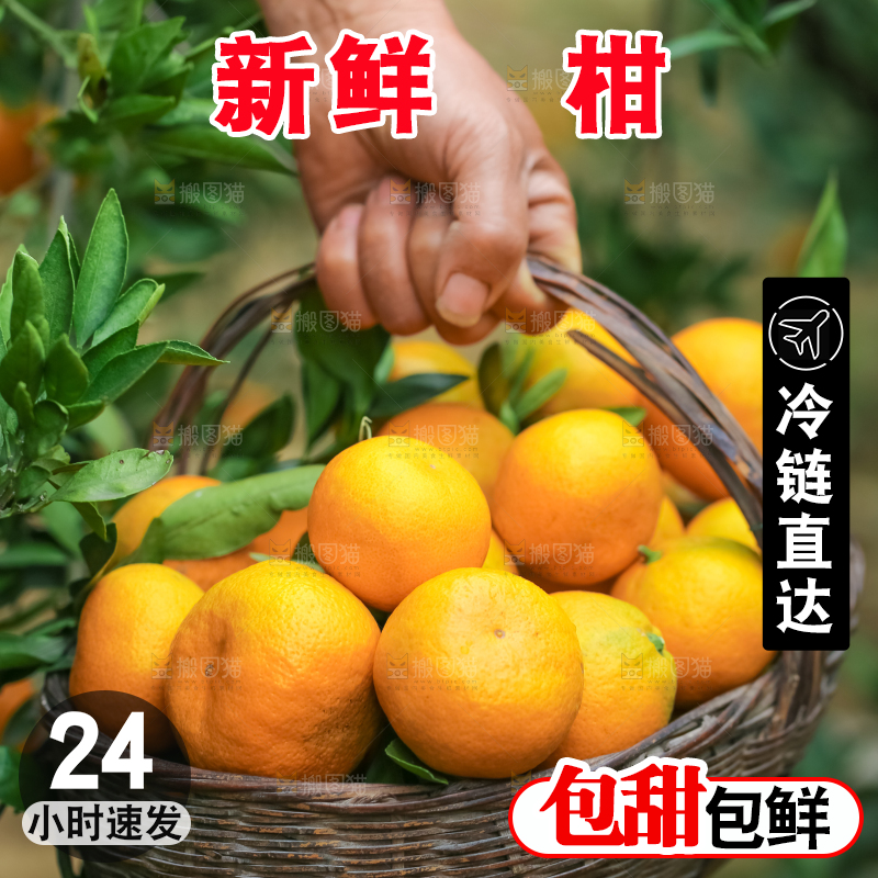 篮子里装着椪柑