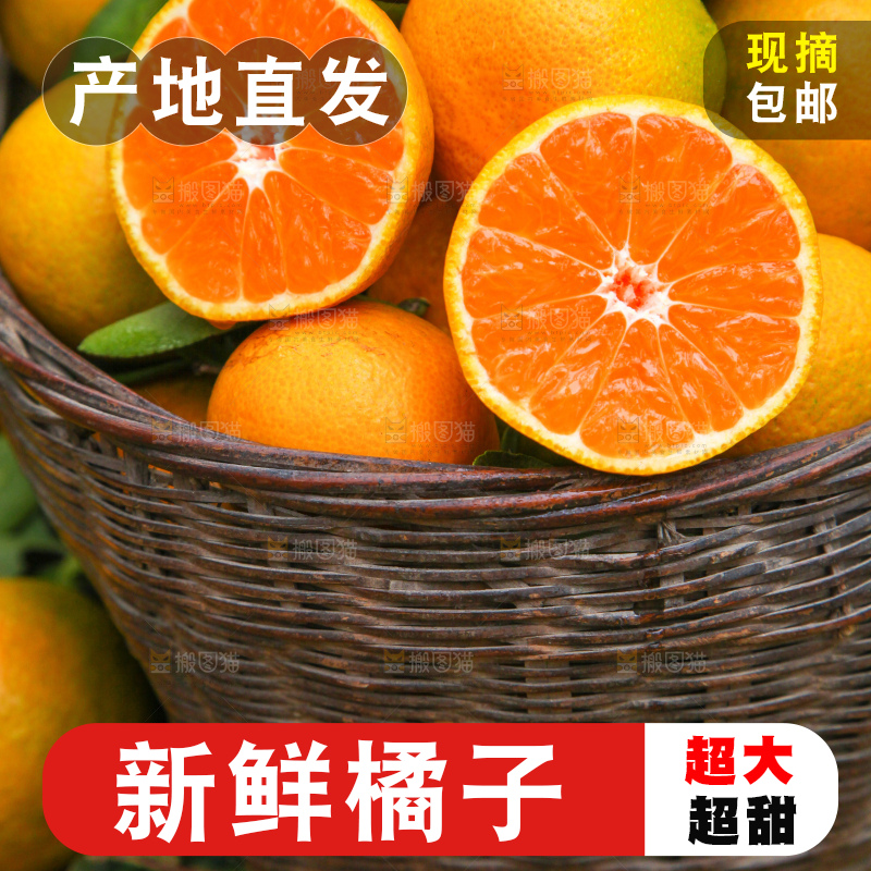 篮子里的新鲜橘子