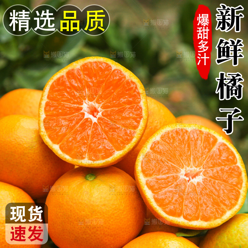 篮子里装着橘子