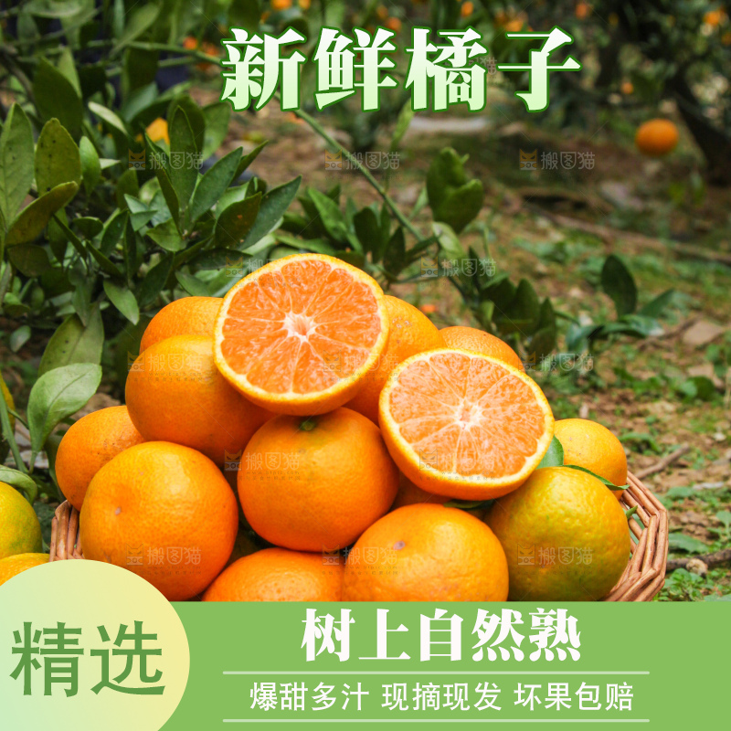 篮子里装着橘子