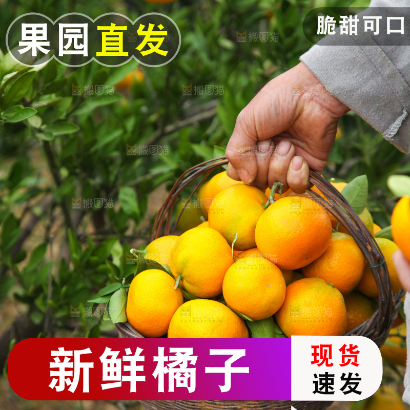 篮子里装着橘子