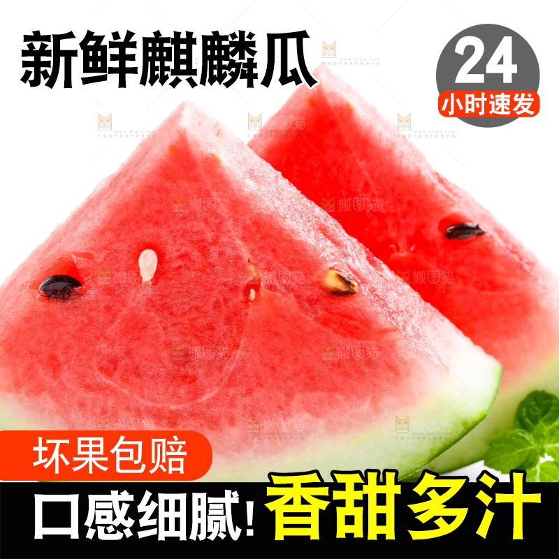 白底上摆放着麒麟瓜