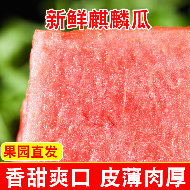 木底上摆放着麒麟瓜