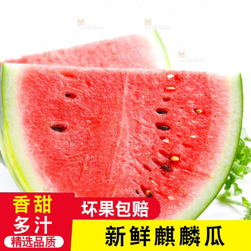 白底上摆放着麒麟西瓜