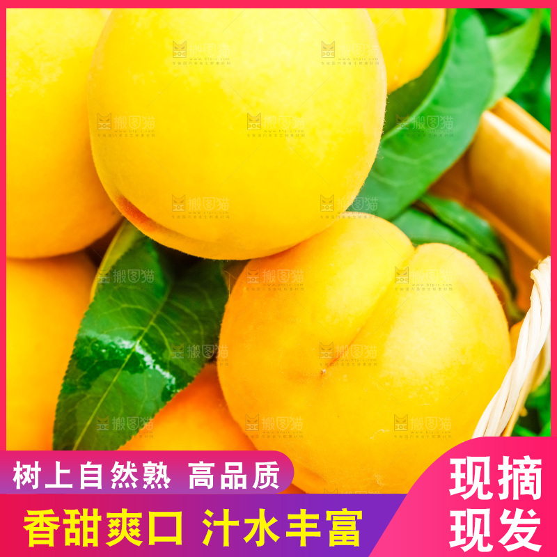 篮子里装着黄肉毛桃