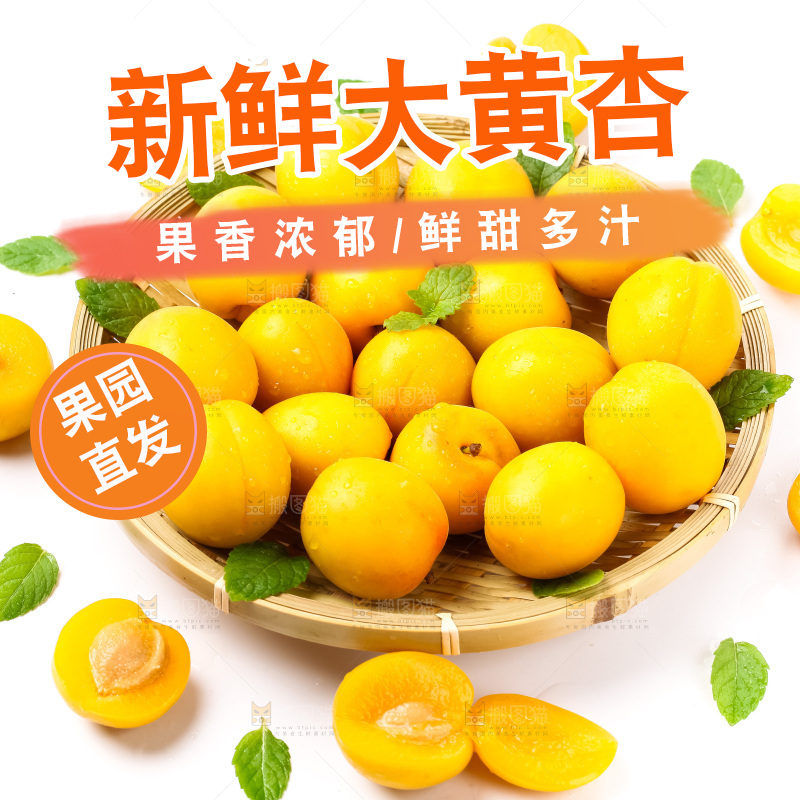 篮子里装着杏子