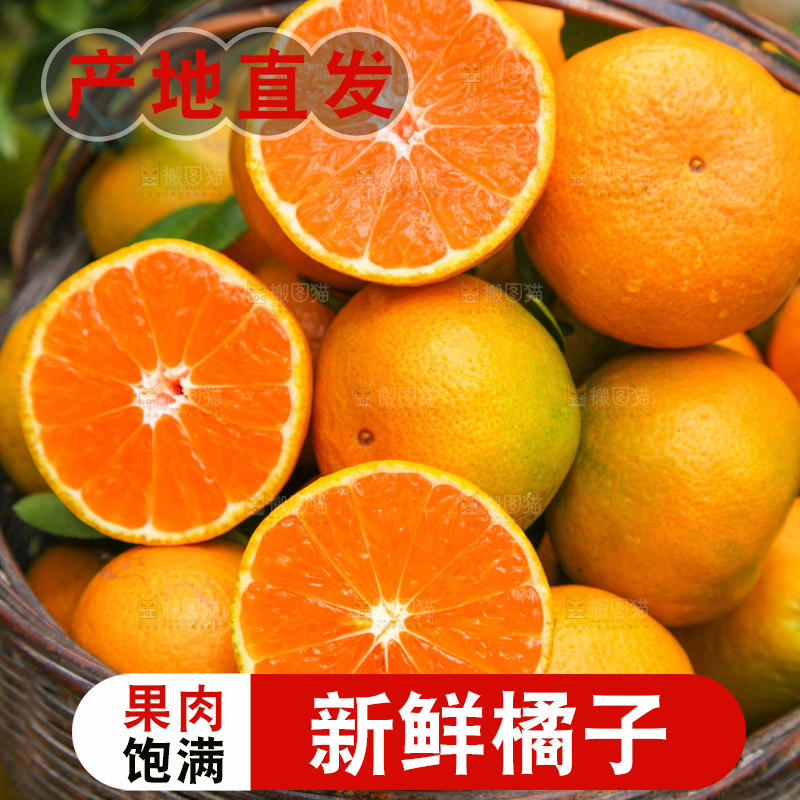 篮子里装着橘子