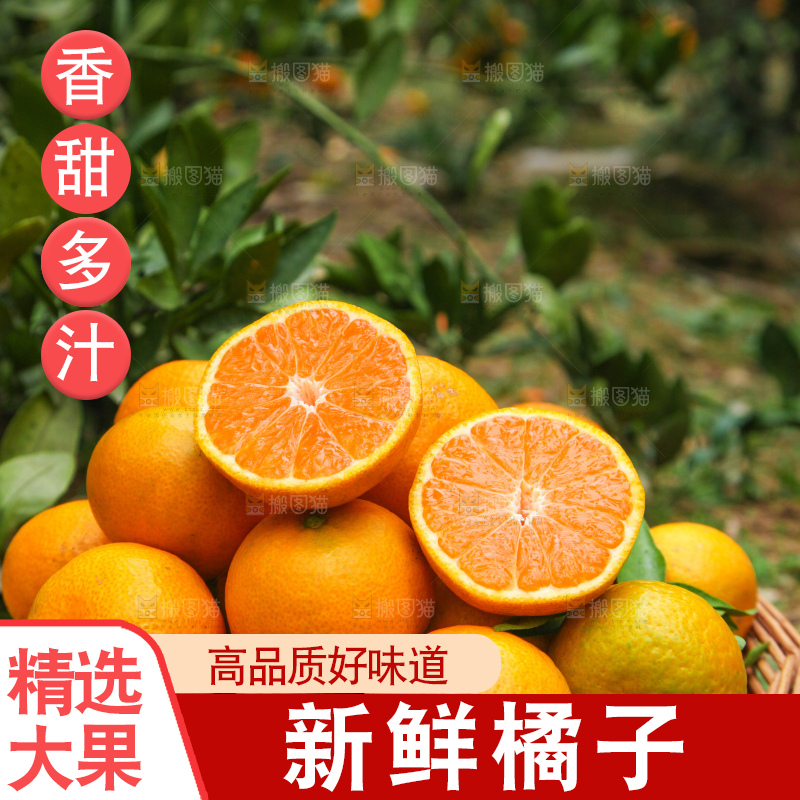 篮子里装着橘子