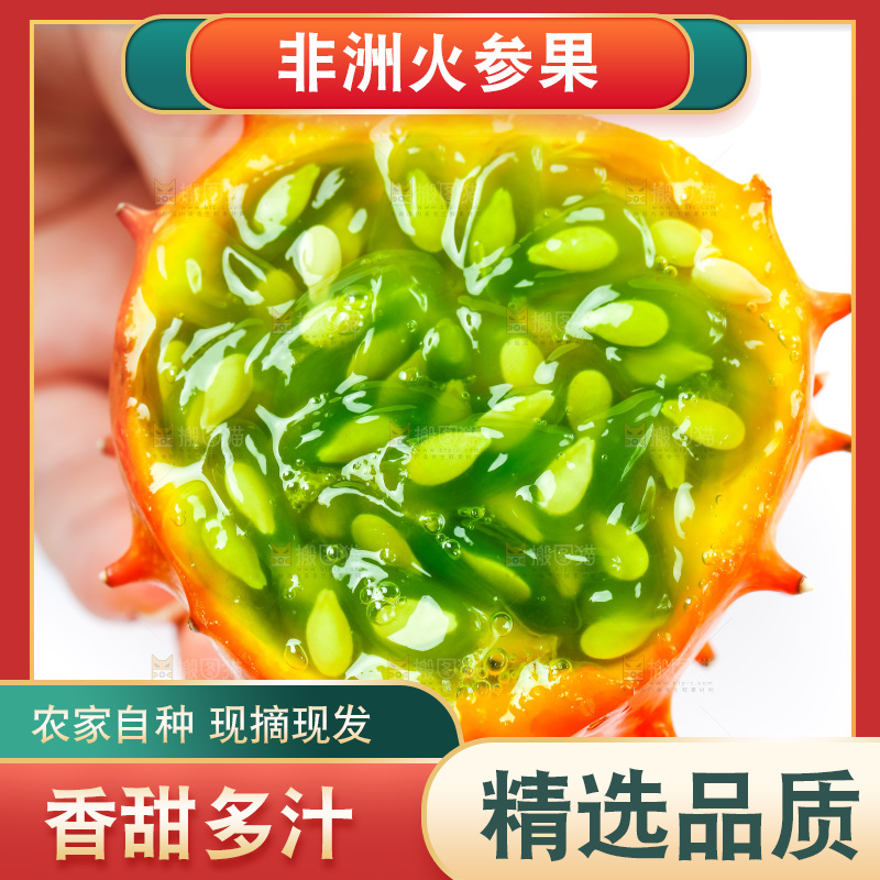 手里拿着火参果