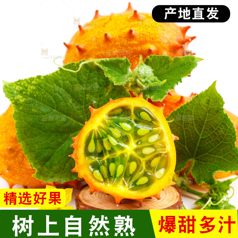 白底上摆放着海参果