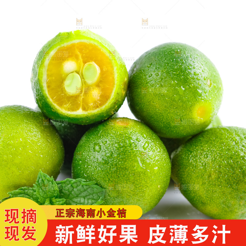 白底上摆放着海南小金桔
