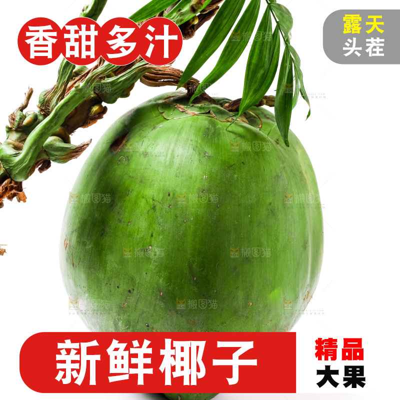 白底摆放着椰子