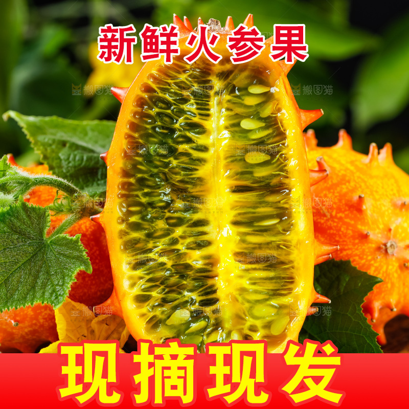 深底上摆放着海参果