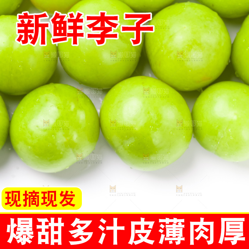 白底上放着青脆李