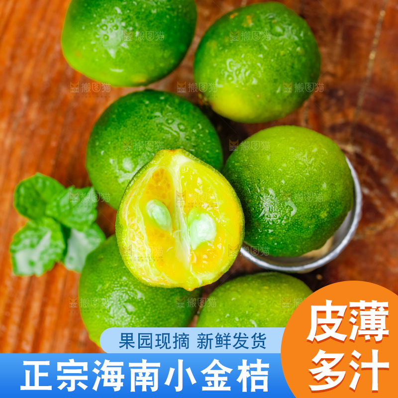 木底上摆放着海南小金桔