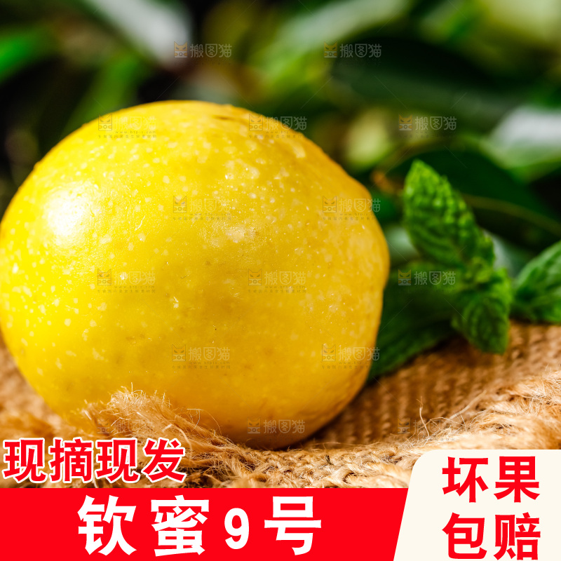深底上摆放着黄金百香果