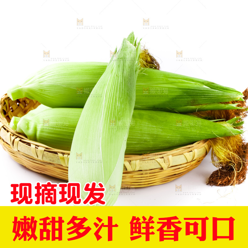 篮子里装着苞谷