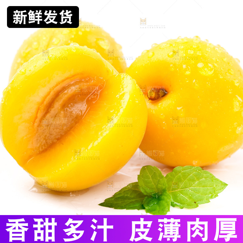 白底上摆放着麦黄杏