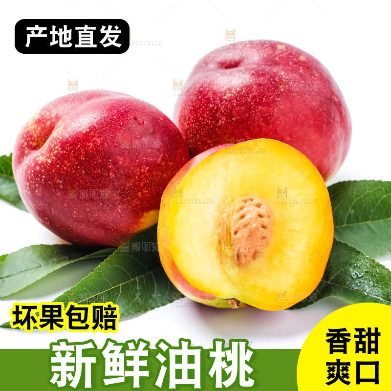 白底上摆放着油桃