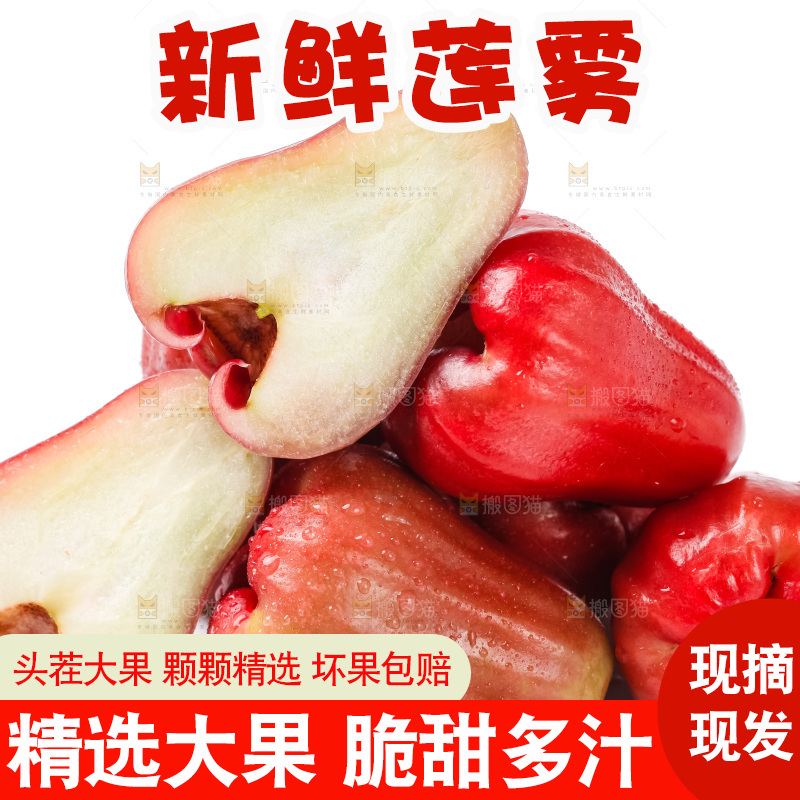浅底上摆放着黑金刚莲雾