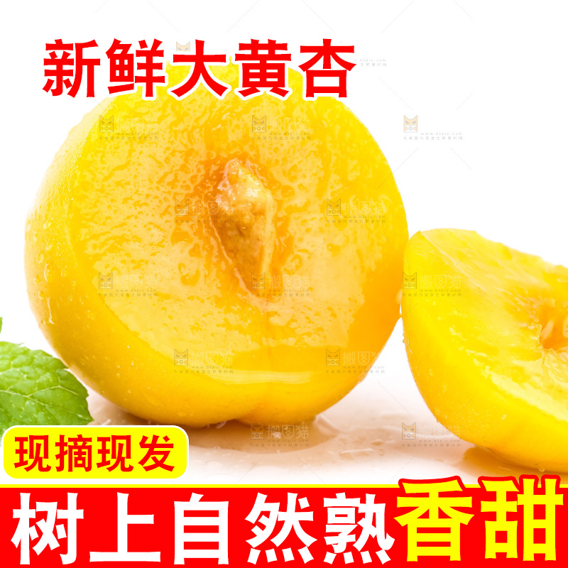 白底上放着大黄杏