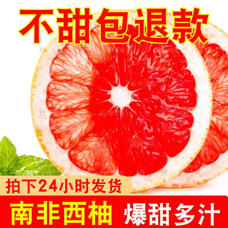 白底上摆放着南非红心西柚