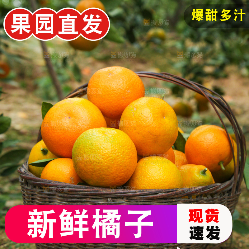 篮子里装着橘子