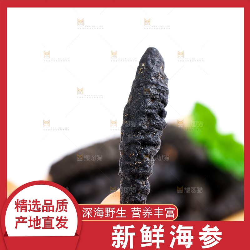 手里拿着干海参