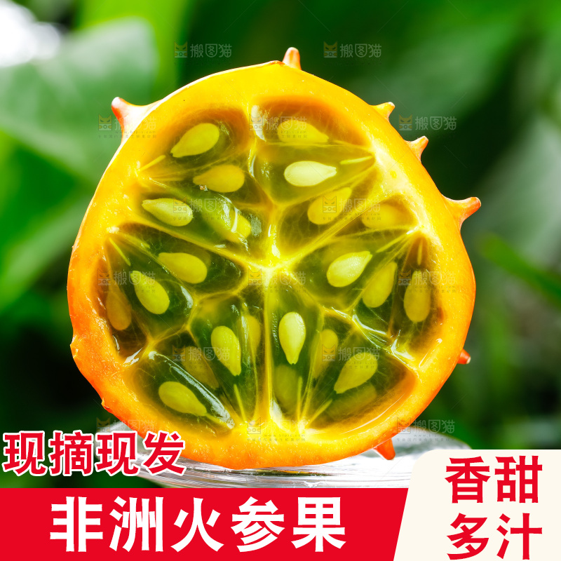 琉璃杯上放着海参果
