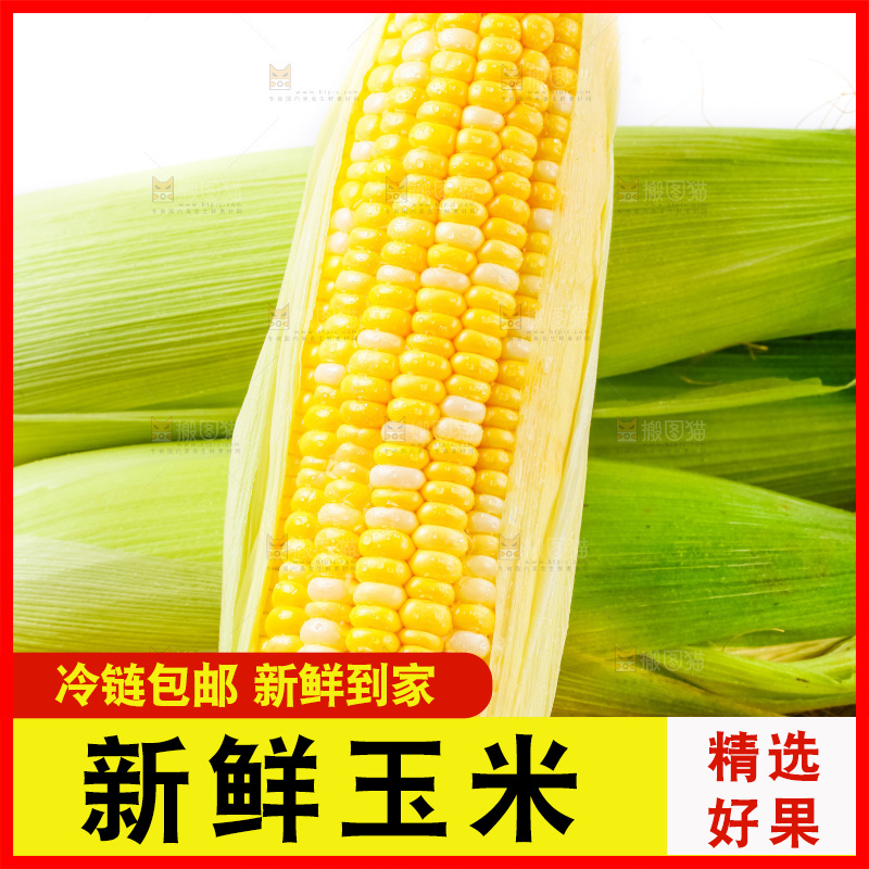 篮子里装着玉米