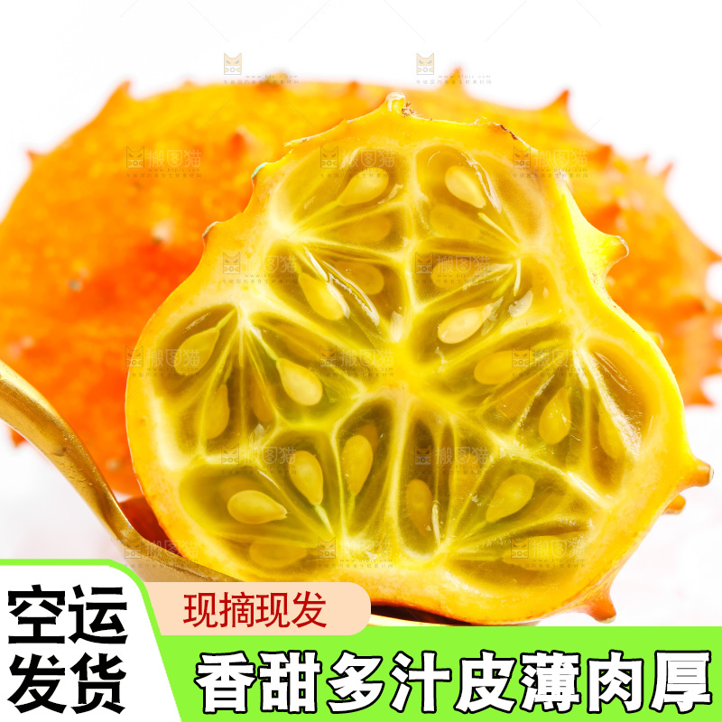 勺子上放着刺角瓜