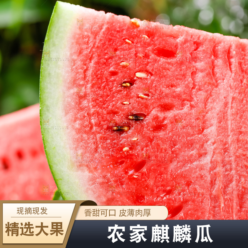 篮子上放着8424麒麟瓜