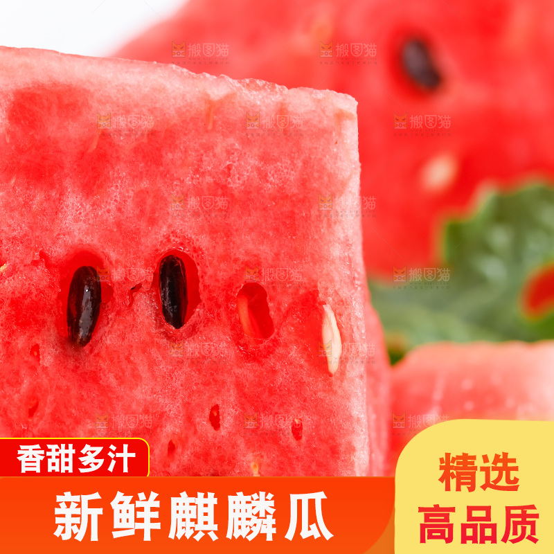 白底上摆放着麒麟瓜