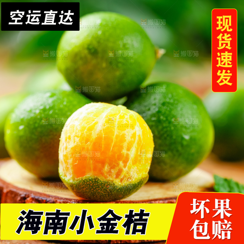 木底上摆放着海南小金桔