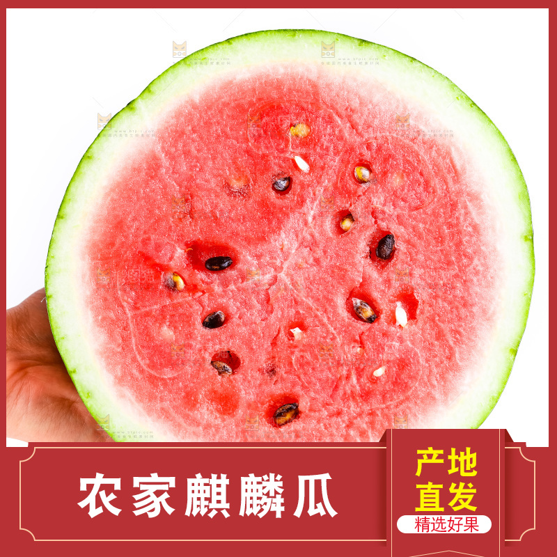 手里拿着西瓜