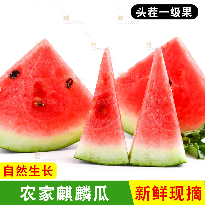 白底上摆放着麒麟瓜