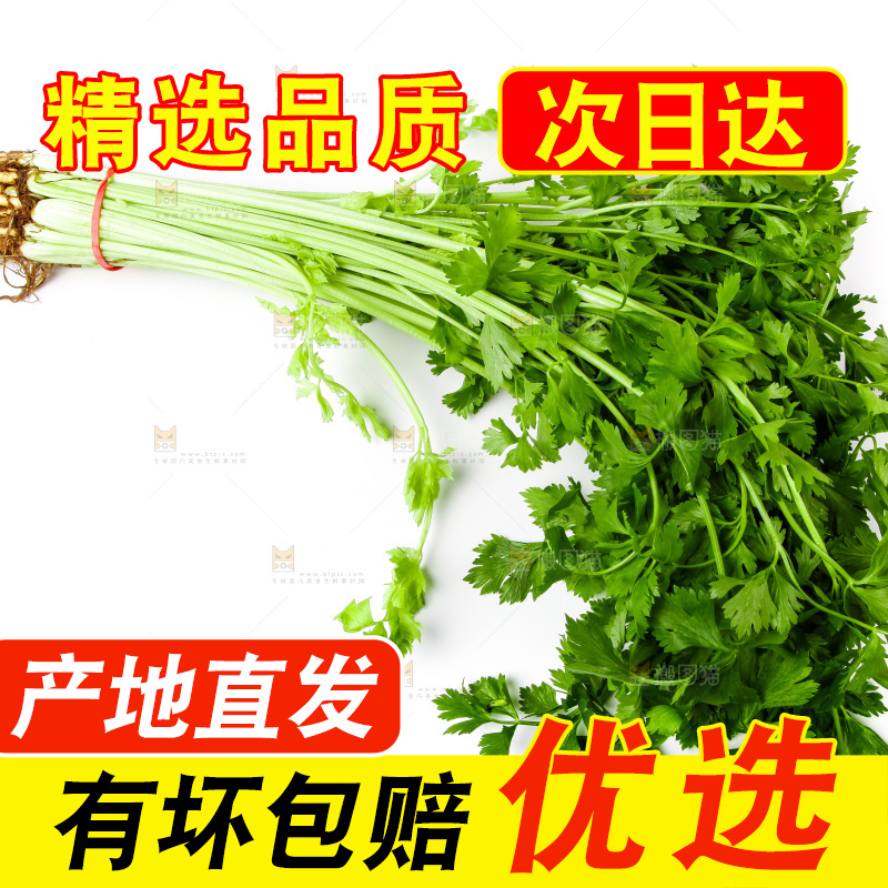 白底上摆放着芹菜