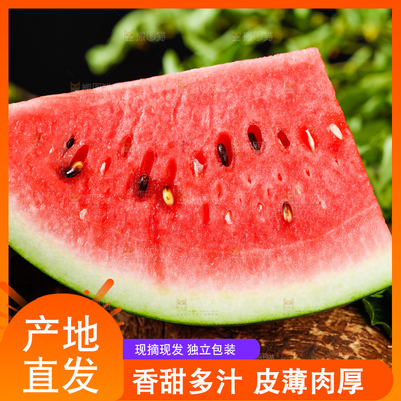 深底上摆放着8424麒麟瓜
