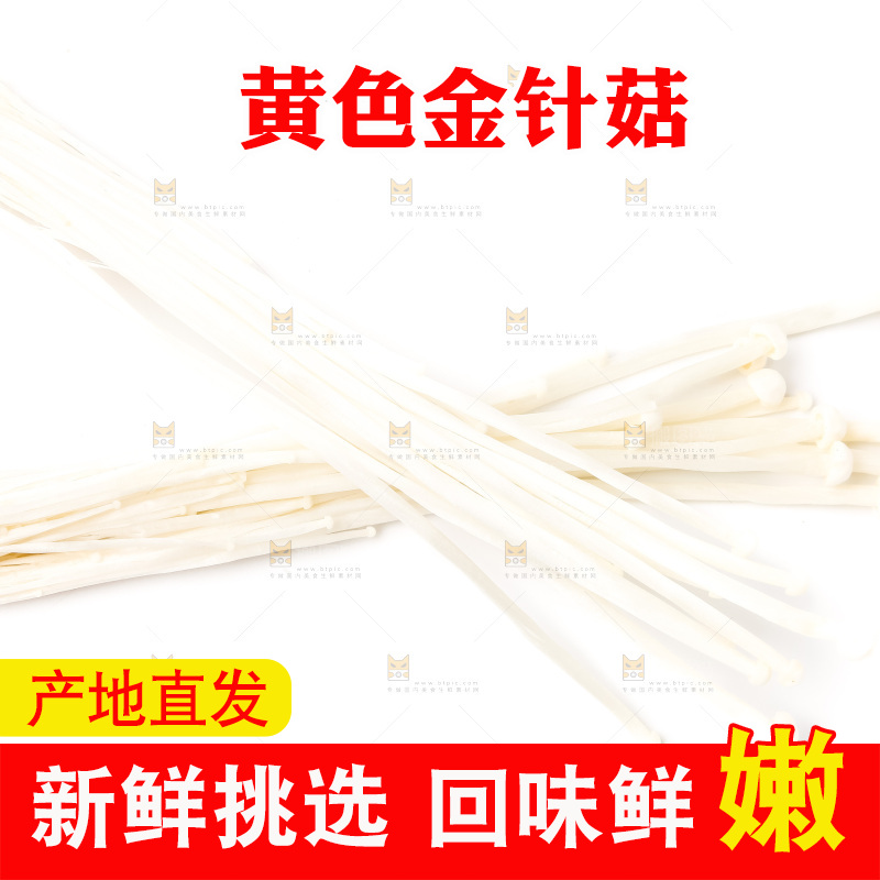 白底上摆放着金针菇