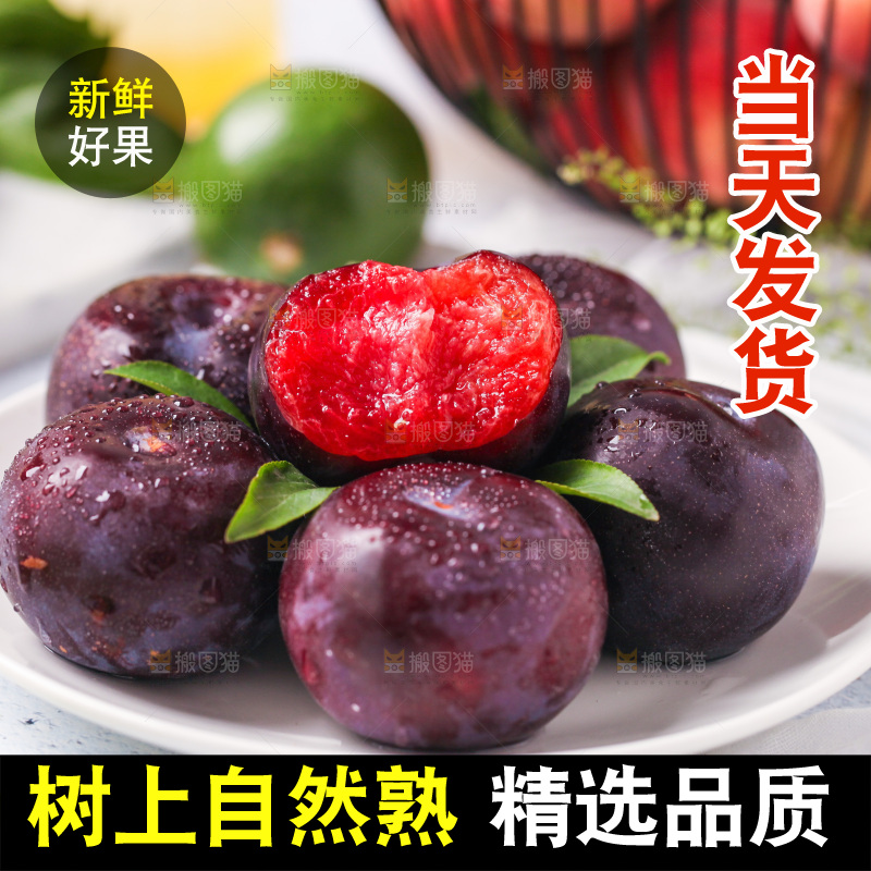 碟子里装着恐龙蛋李