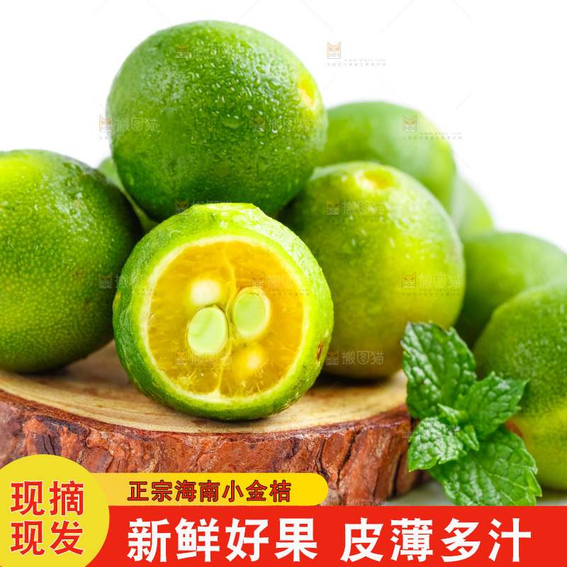 白底上摆放着海南小金桔